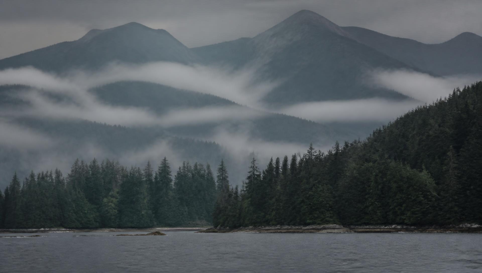 Fog moving through a Pacific Northwest coastal mountain range above dark evergreens
